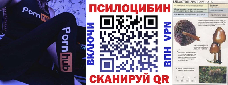Купить закладки  Бодайбо  Псилоцибиновые грибы прущие грибы 
